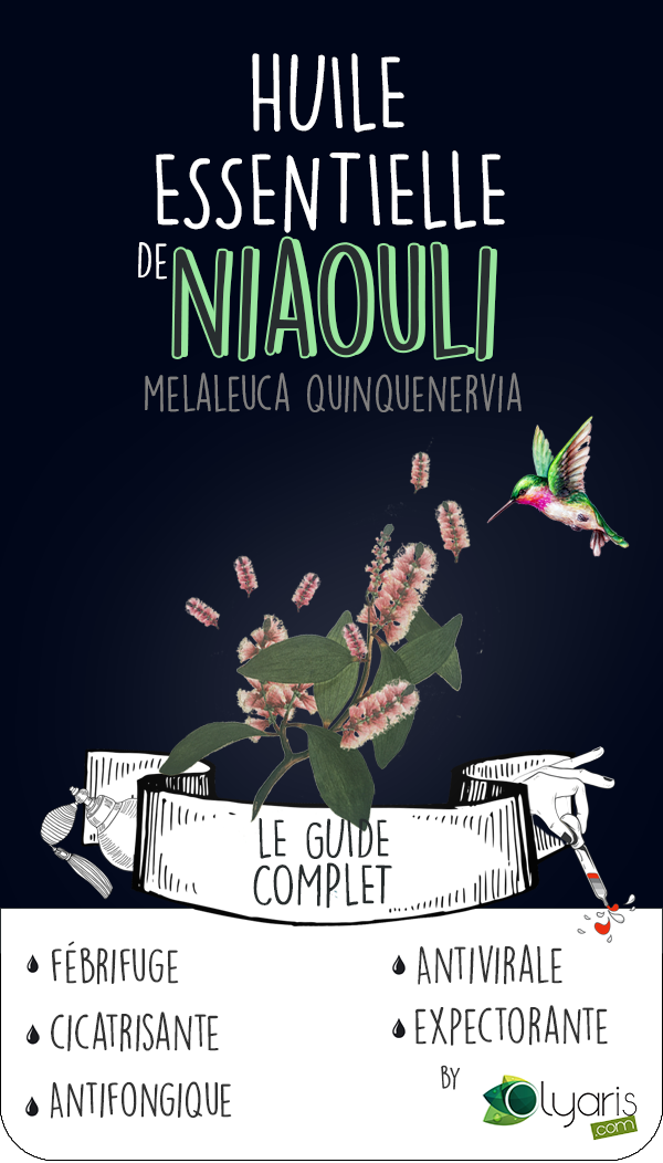 Huile Essentielle de Niaouli en Diffusion : Le Guide Complet par Olyaris